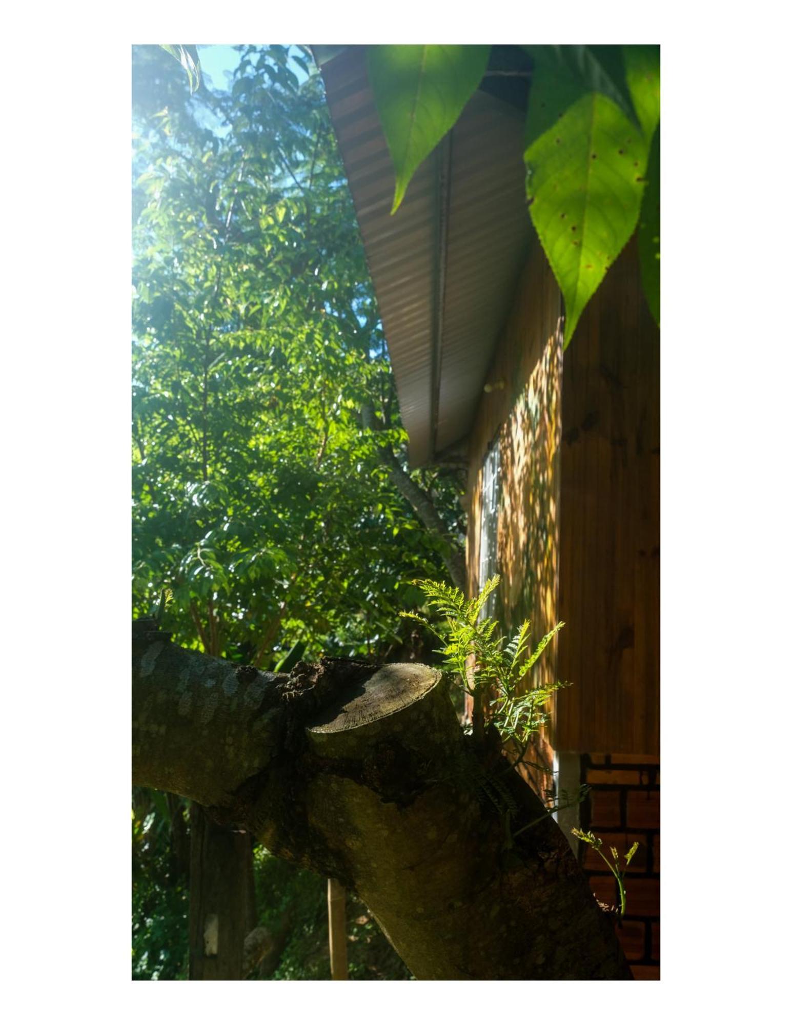 Nha Ben Ho - Da Lat Homestay Eksteriør billede