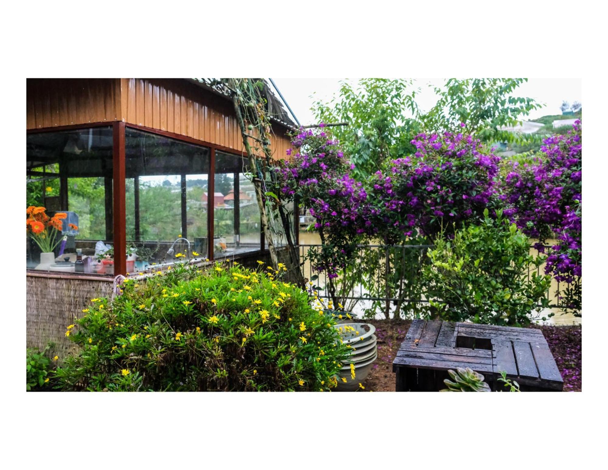 Nha Ben Ho - Da Lat Homestay Eksteriør billede