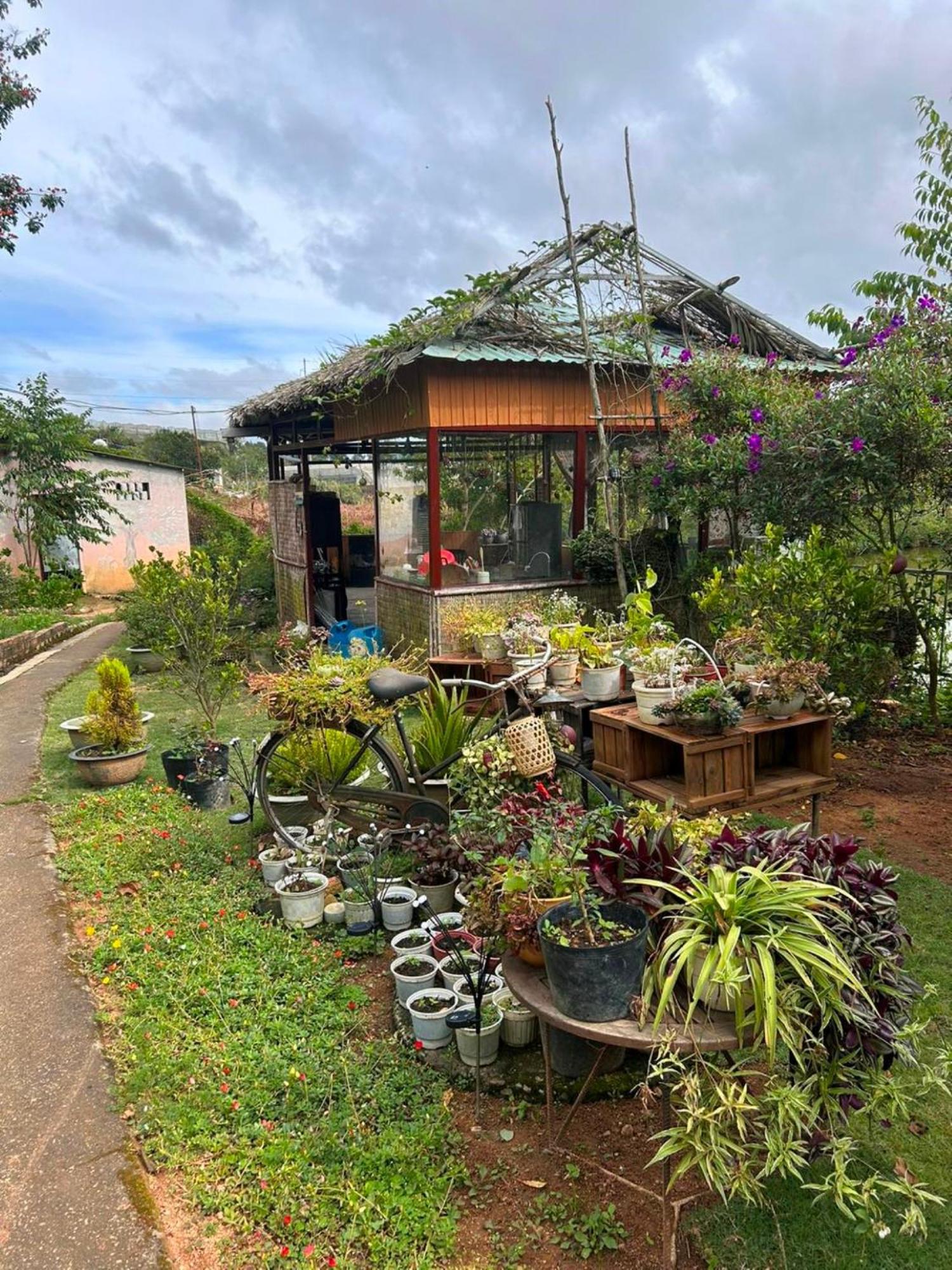 Nha Ben Ho - Da Lat Homestay Eksteriør billede