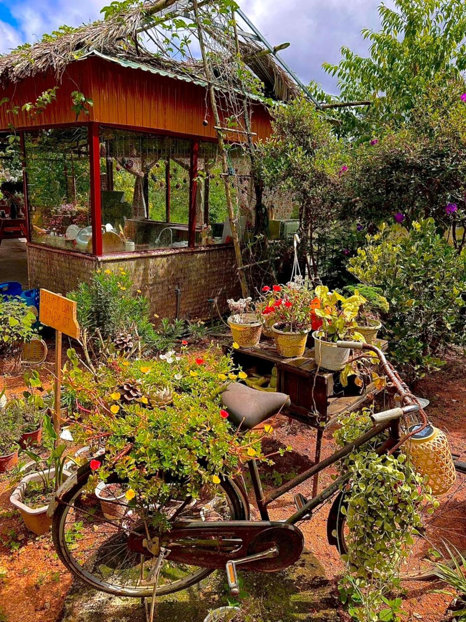 Nha Ben Ho - Da Lat Homestay Eksteriør billede
