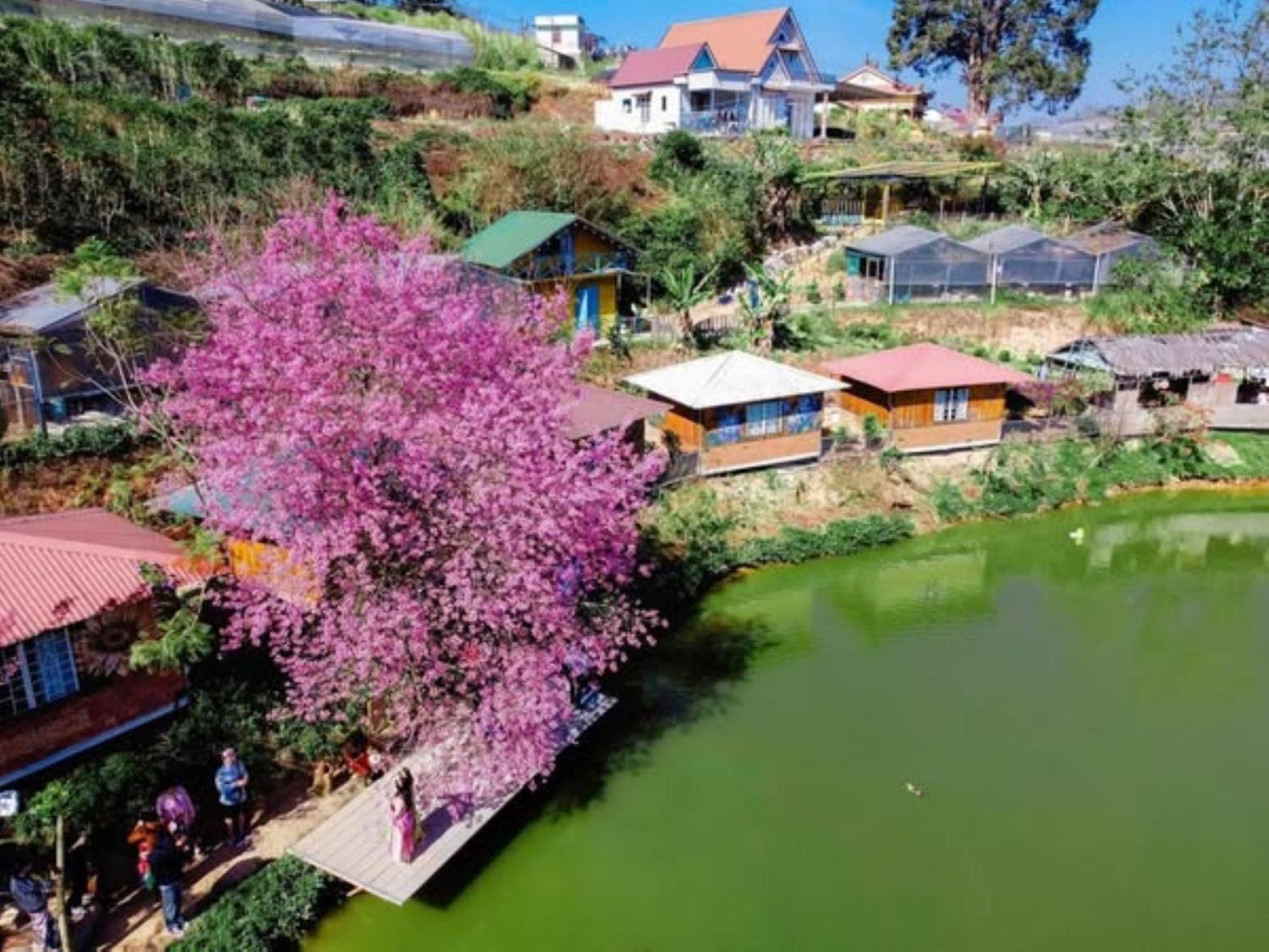 Nha Ben Ho - Da Lat Homestay Eksteriør billede