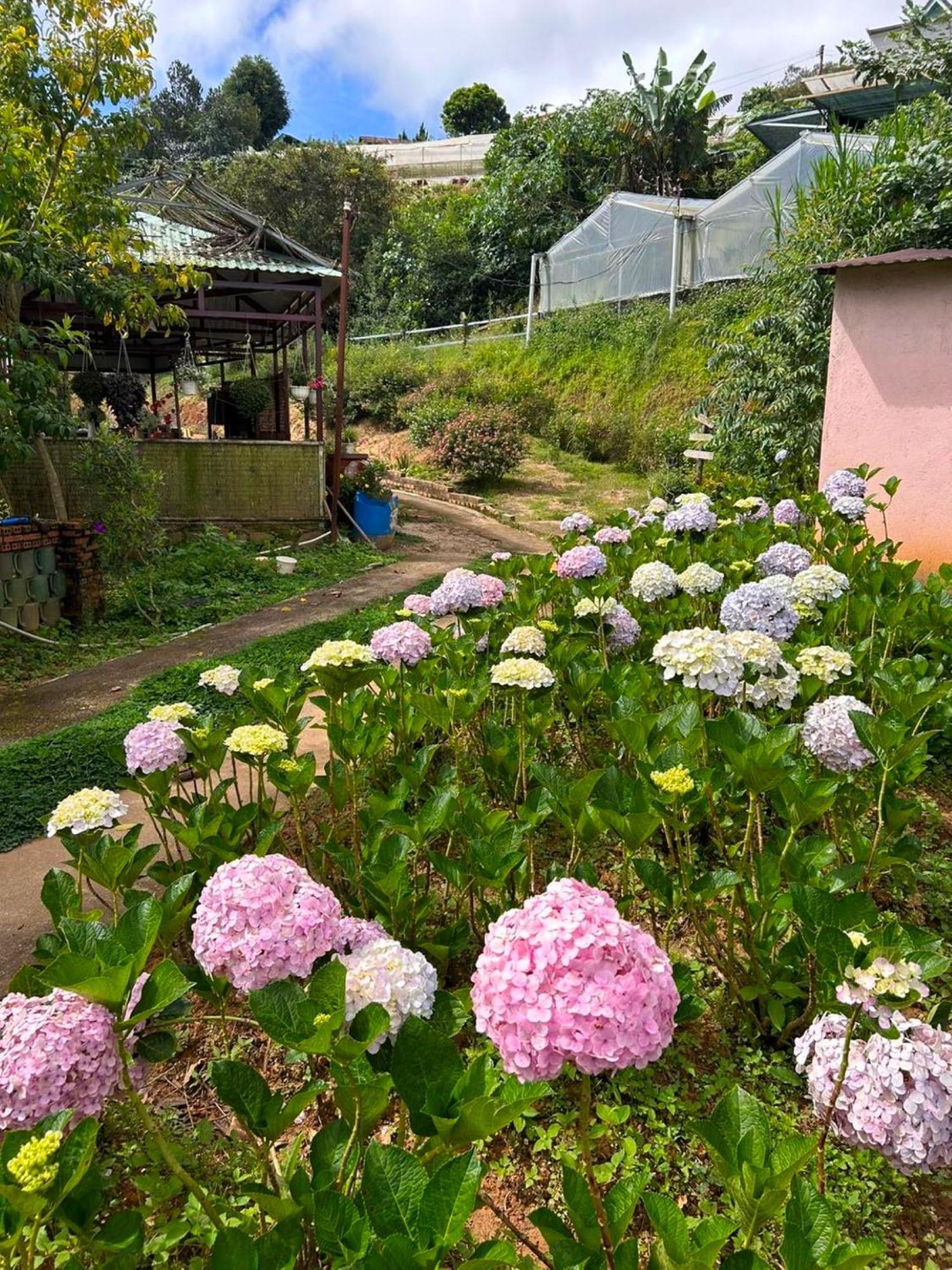Nha Ben Ho - Da Lat Homestay Eksteriør billede