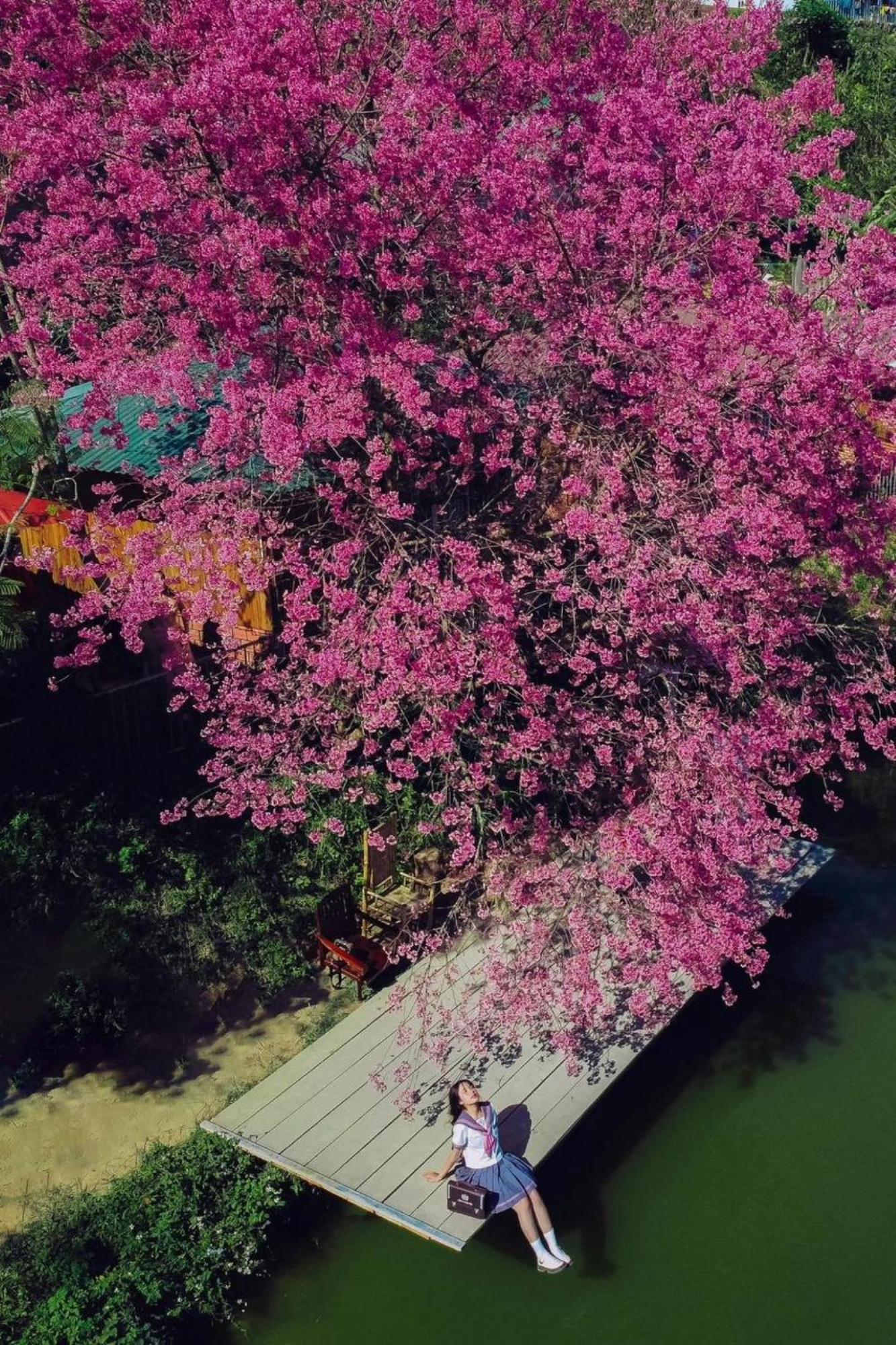 Nha Ben Ho - Da Lat Homestay Eksteriør billede