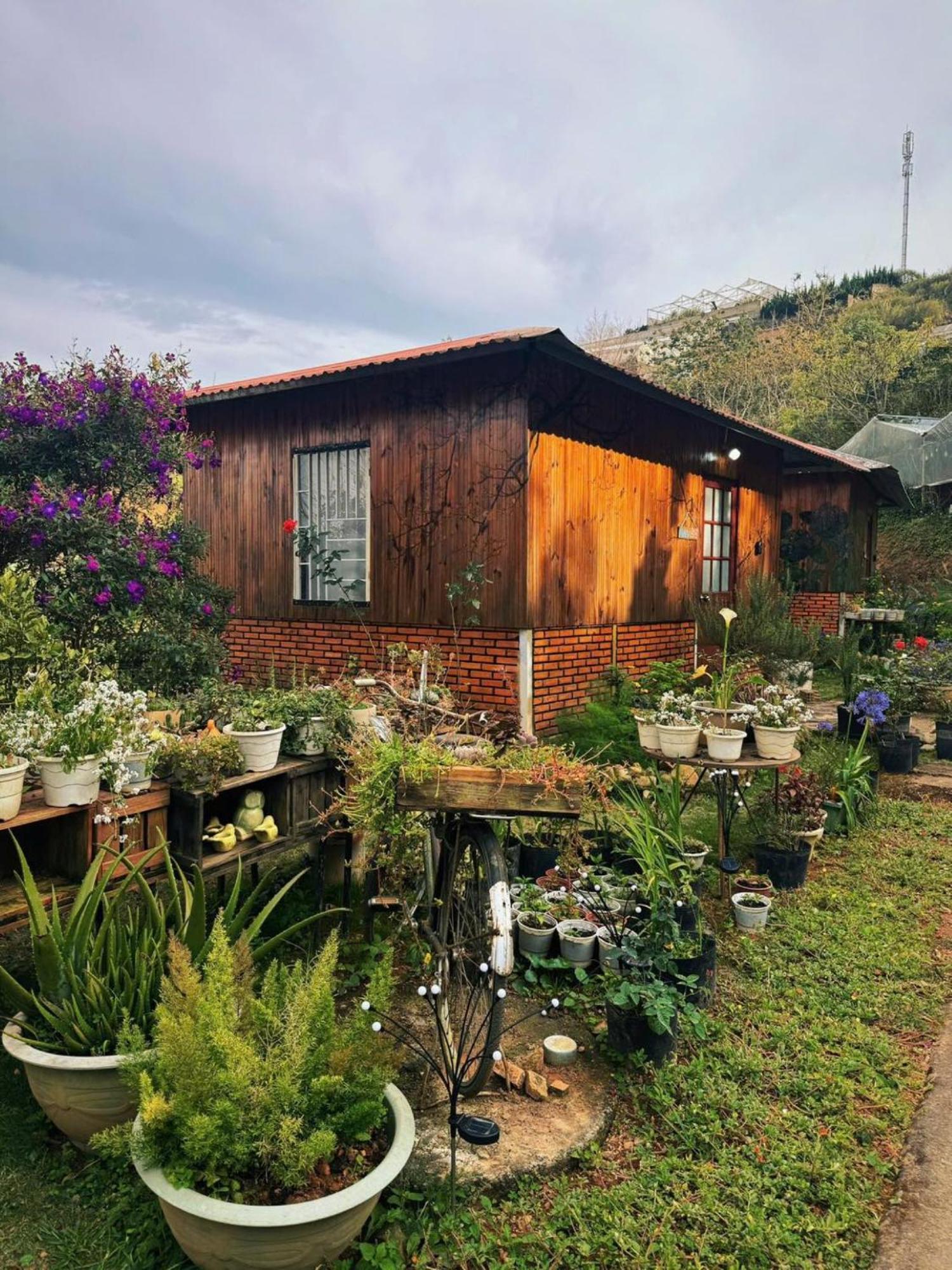 Nha Ben Ho - Da Lat Homestay Eksteriør billede