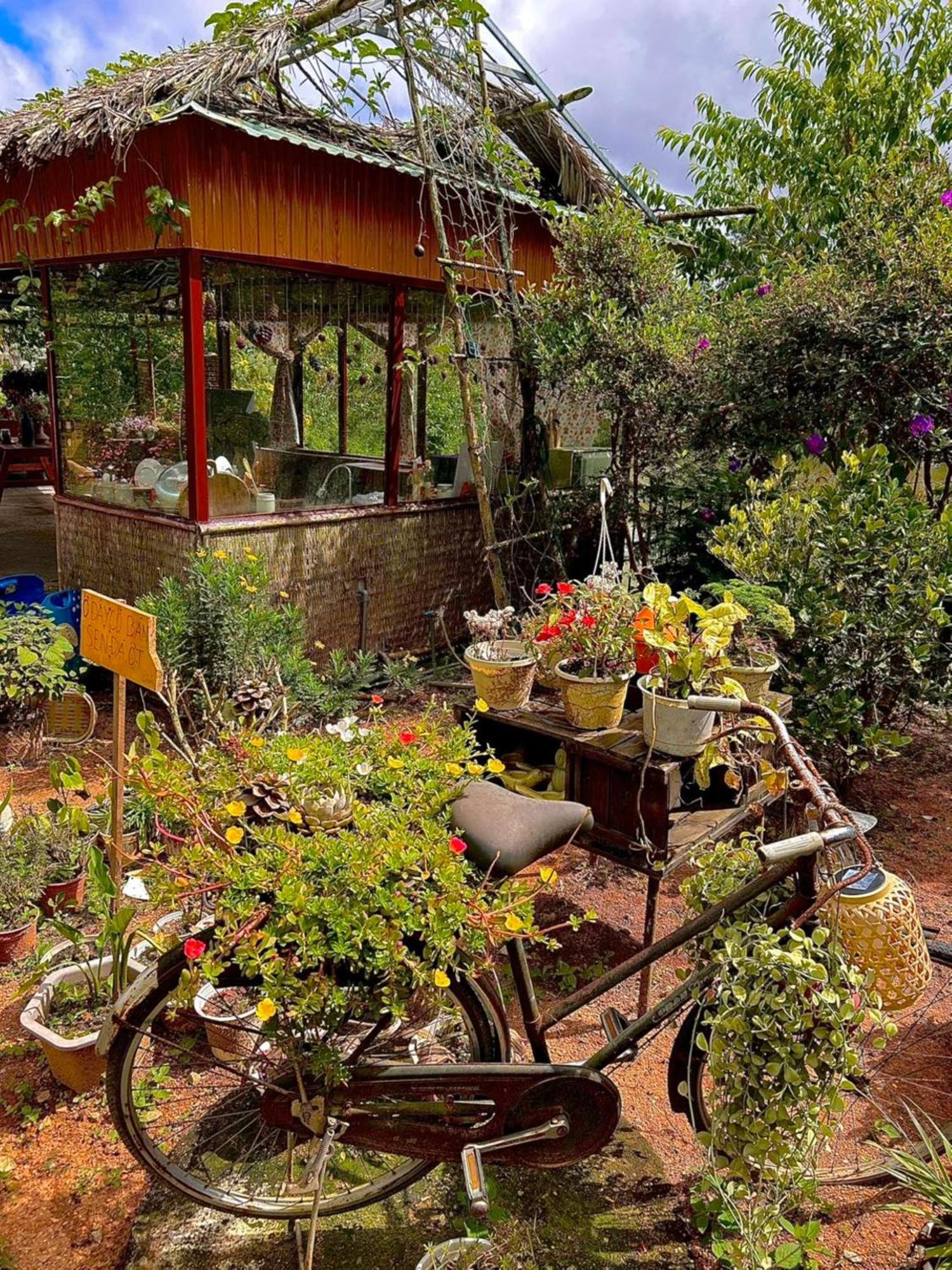Nha Ben Ho - Da Lat Homestay Eksteriør billede